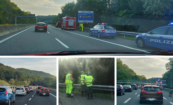 Ovini in autostrada. Lunghe code sulla A26 per far uscire gli animali   