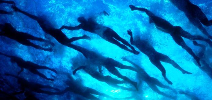 Inizia la stagione delle nuotate in acque libere