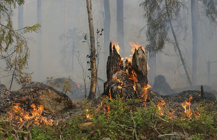 Proclamato lo stato di massima pericolosità per gli incendi boschivi 
