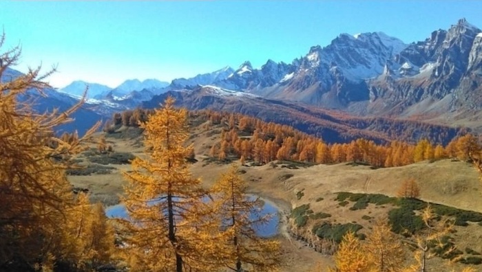 Salviamo l'Alpe Devero: 100mila firme raccolte per fermare il progetto turistico “Avvicinare le Montagne” 