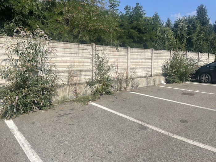 Omegna, troppe erbacce e Songa sollecita manutenzioni - Foto  