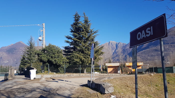 Crevola: Enel sostituisce cavo, gufi salvi dalle folgorazioni  