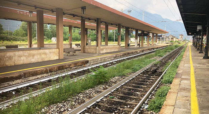 Erbacce alla stazione internazionale: tagliate a metà