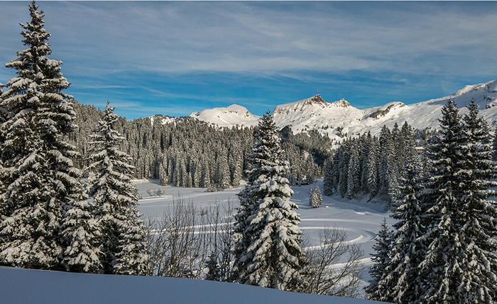 La fine dell'anno col sole e temperature sopra lo zero