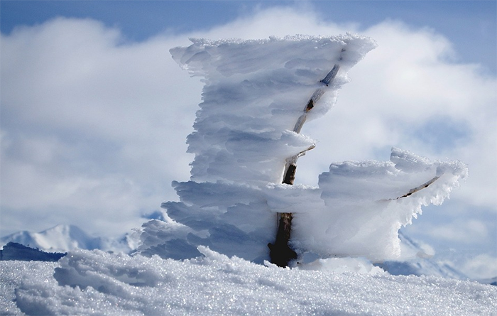 Dopo la neve arriva il forte vento, allerta di Arpa: "Per 24 ore forte vento di Foehn"