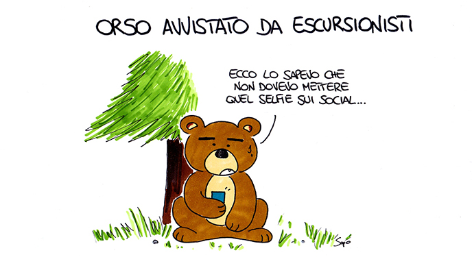 L'avvistamento di un orso nei boschi di Briga nella nuova vignetta di Sapo