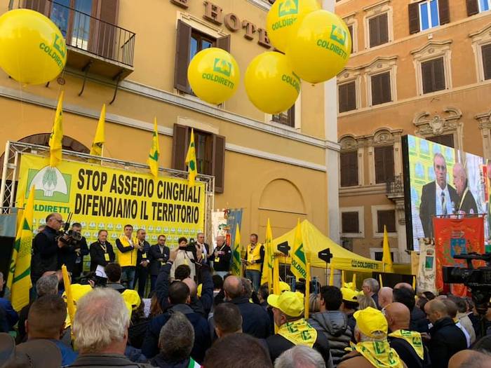 Emergenza cinghiali, anche Uncem con Coldiretti per i piani di prelievo straordinari 