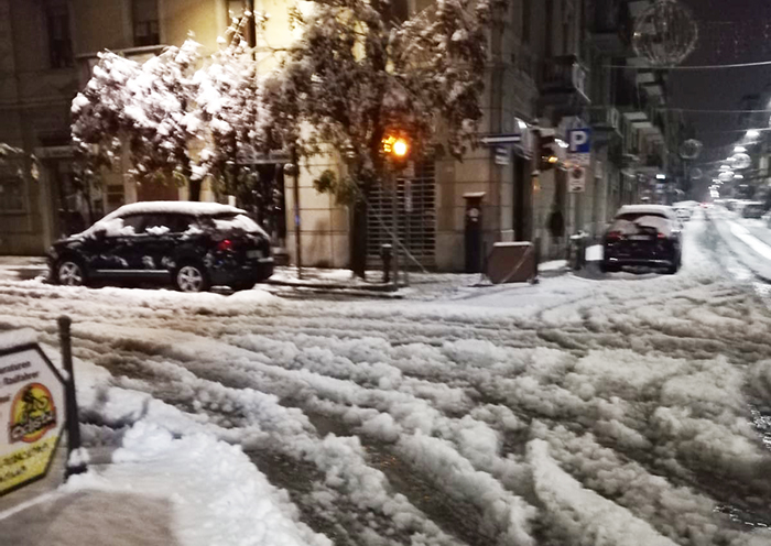 Piante sulla Superstrada e sulla strada per l'Anzasca crollate per la neve. Vigili del Fuoco ed Aib al lavoro