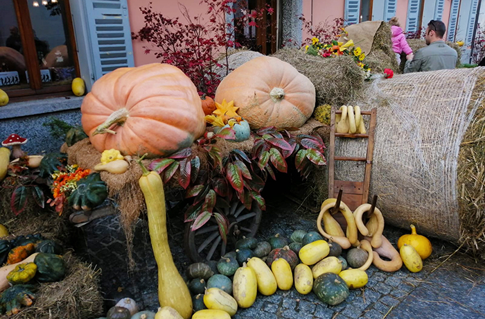 "Fuori di Zucca", in Vigezzo la festa degli orti e dei sapori autunnali. Fotogallery