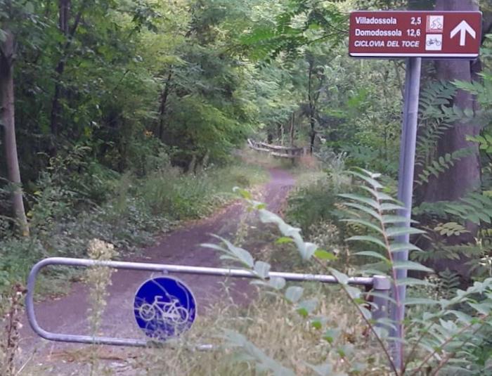 La segnalazione: erbacce e incuria sulla ciclabile tra Villa e Pallanzeno