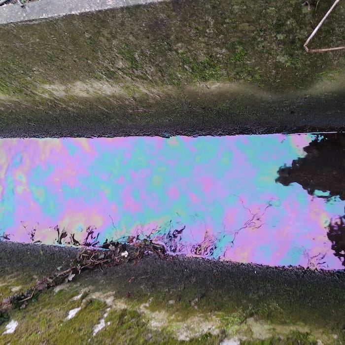 Identificati i responsabili dello sversamento di idrocarburi nella roggia domese
