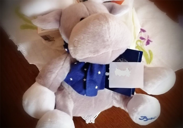 Ai bambini della valle Anzasca i prodotti donati dalla Perugina-Nestlè