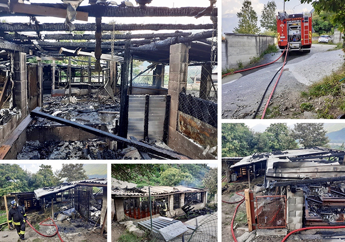Stalla devastata da un incendio. Morti alcuni animali. Fotogallery
