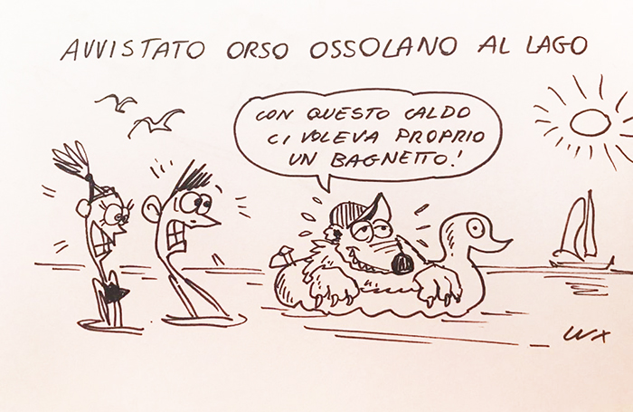 L'orso ossolano "in vacanza" sul lago Maggiore nella vignetta di Carlo Lux
