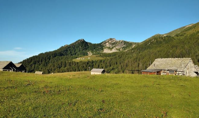 Lupi e allevatori locali: un' ossolana rinuncia al premio del Cai "Sulla via della convivenza"