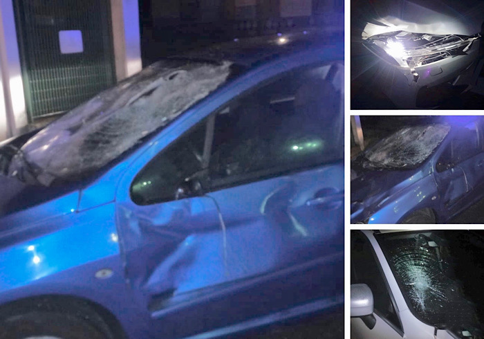 Due incidenti tra auto e cervi sulle strade ossolane