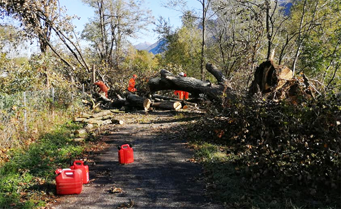 Squadre Aib al lavoro sulla ciclabile tra Domo e Villa per togliere le piante cadute con l'alluvione