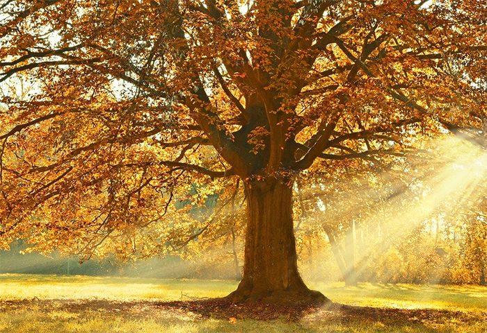 Fine settimana con il sole. Lunedì 26 nuovo peggioramento
