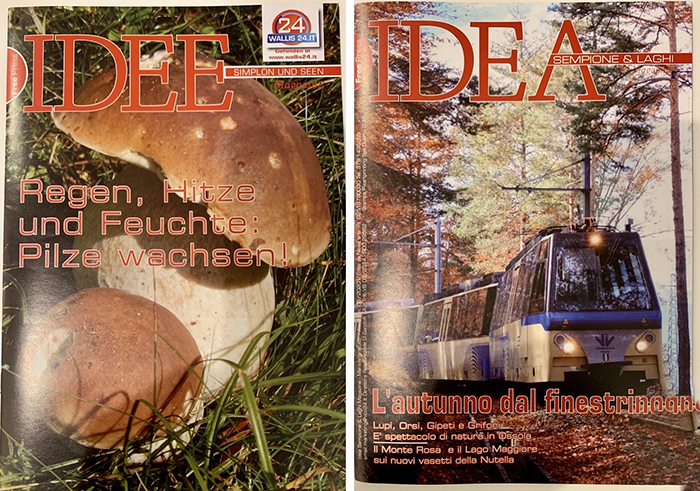 IDEA: in distribuzione il nuovo numero del nostro magazine mensile freepress