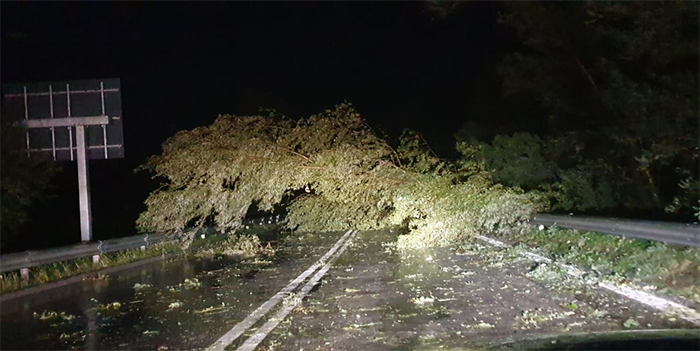 Superstrada chiusa per la caduta di piante