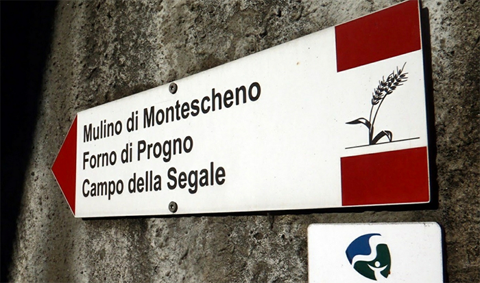 Con Easytrek questa settimana andiamo sulla "Via della segale"