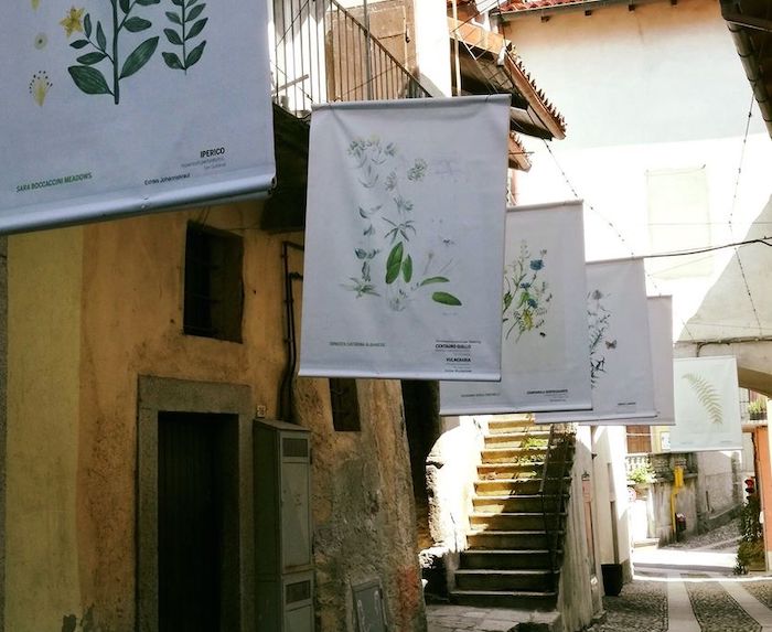 Mergozzo: l'arte e i "percorsi trasversali" dedicati al mondo vegetale 
