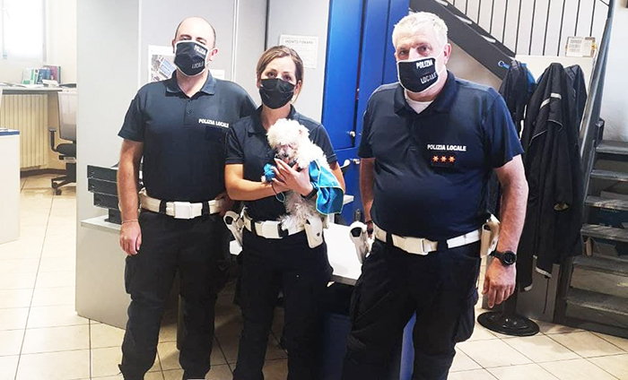 Lasciano il cane sotto il sole rovente, chiuso in auto e nel trasportino. Liberato dalla polizia locale