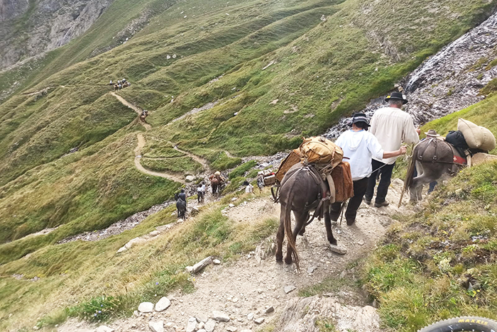    La Sbrinz route 2021 a Formazza. Sabato l'arrivo a Domodossola 