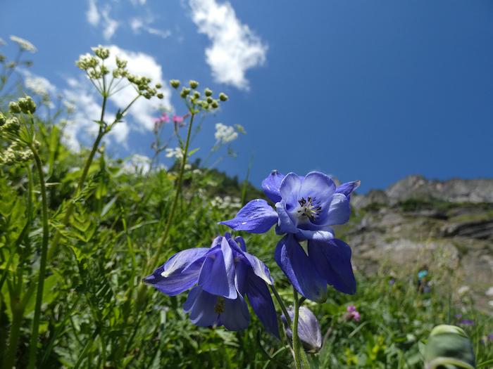 Giornata mondiale della Terra, Vittoria Riboni: l'importanza delle piccole economie di montagna