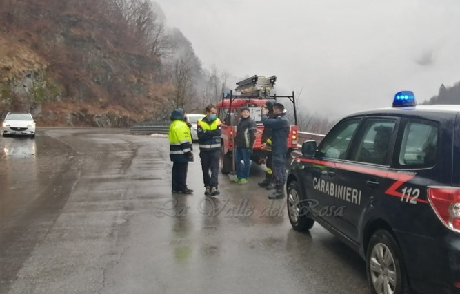 Piccolo movimento franoso ed una pianta sulla strada della Valle Anzasca, intervento dei Vigili del fuoco. Foto