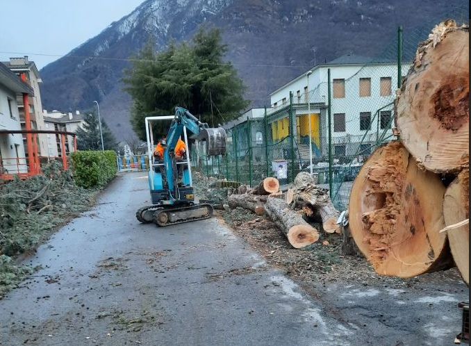 Cappuccina, si tagliano le piante pericolanti vicino alla Chiesa