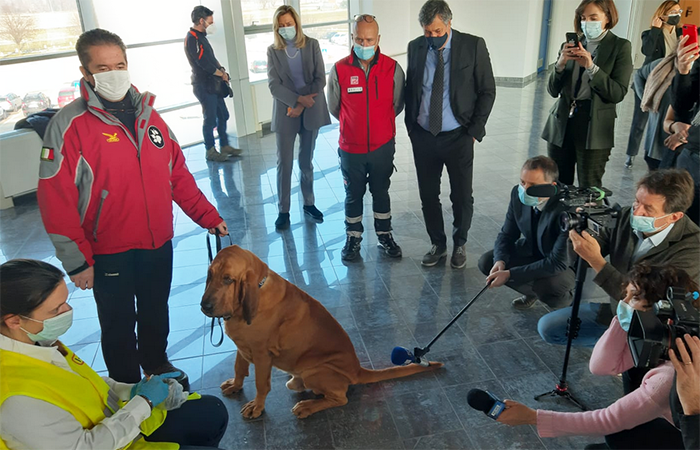 Cani anti-covid, progetto pilota all’aeroporto di Cuneo. l’assessore regionale Icardi: "Metodo innovativo, pronti all’impiego sul campo"