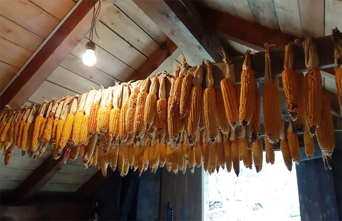 Ecco la polenta della Valle Anzasca: con sacrificio ed amore da 100 piante di granturco al paiolo fumante... Fotogallery