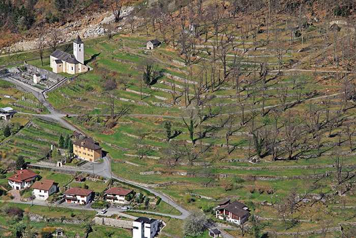 Al Parco Nazionale Val Grande 5,5 milioni di euro in 5 anni per mitigare gli effetti dei cambiamenti climatici