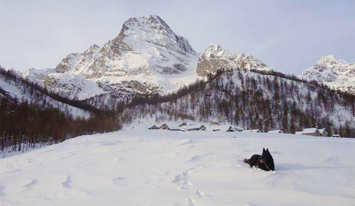 Alpe Veglia: paradiso perduto dello sci di fondo europeo