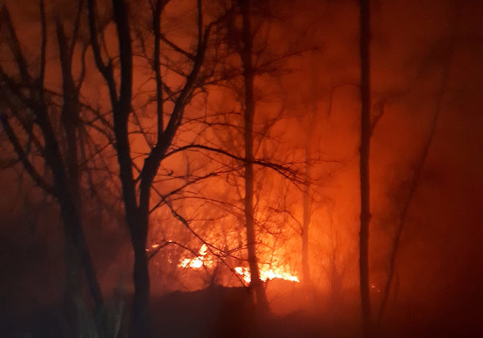 Guardia alta contro il fuoco: approvato il piano regionale antincendi 