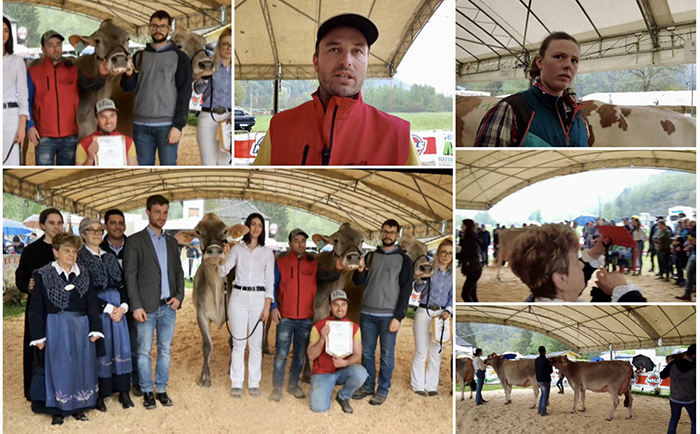 Olzeri vince il 3° Concorso per bovini bruno alpini. Ielmoli per la pezzata rossa