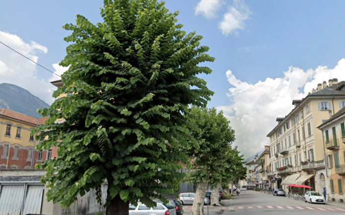 Da lunedì via Rosmini chiusa al traffico 