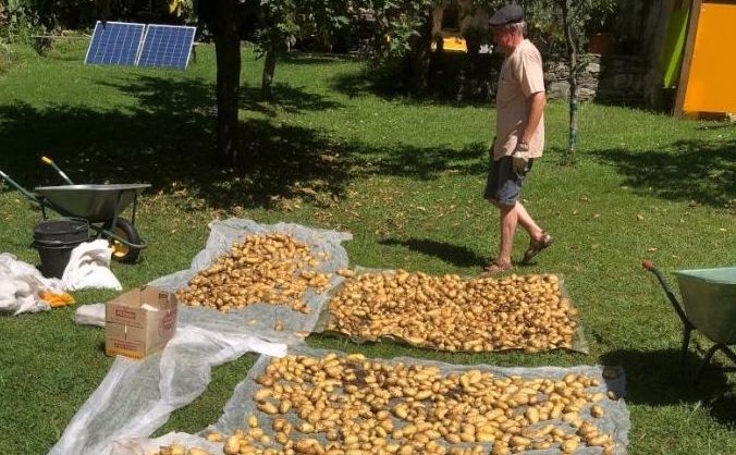Segale e patate: al via con Terraviva alle "Giornate del raccolto" 
