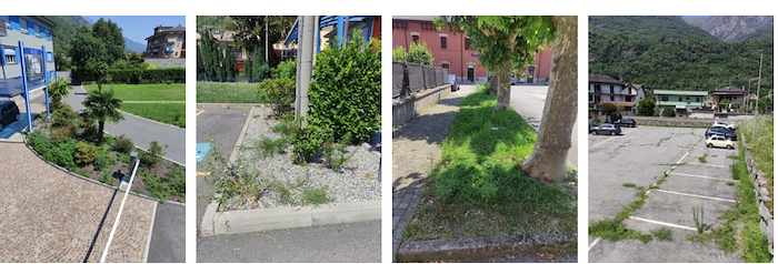 Premosello, l'opposizione: verde pubblico in stato di abbandono, intollerabile - Fotogallery 