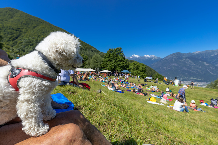 Musica in Quota 2022: da giugno a settembre un'estate di concerti ed escursioni 