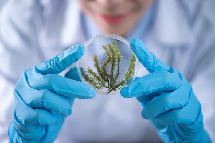 Nel VCO l'associazione dei medici per l'ambiente 