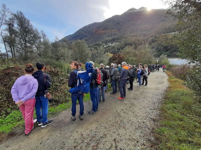 Ticino: tutti in coda per il passerotto in arrivo dagli States 