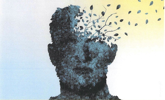 Con-vivere con l'Alzheimer: il convegno a Domo a cura del Ciss Ossola 