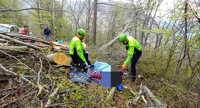 Colpito da una pianta che stava tagliando. Traumi a schiena e bacino, elitrasportato