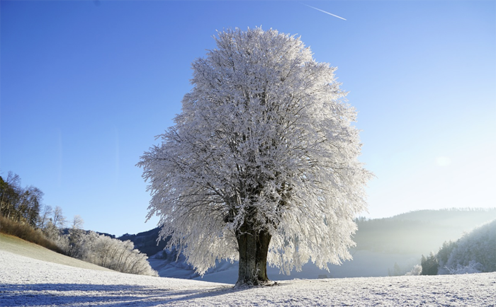Superfreddo: -32 alla Capanna Margherita. In Ossola record tra Anzasca e Formazza