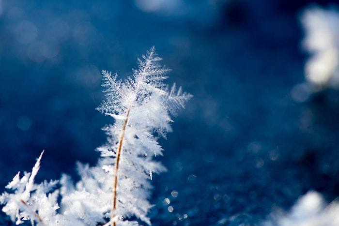 Svizzera nella morsa polare: meno 42 gradi nell'Oberland bernese