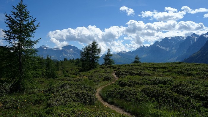 Cai e ambientalisti contro la ciclabile del Devero, presentato un ricorso al Tar