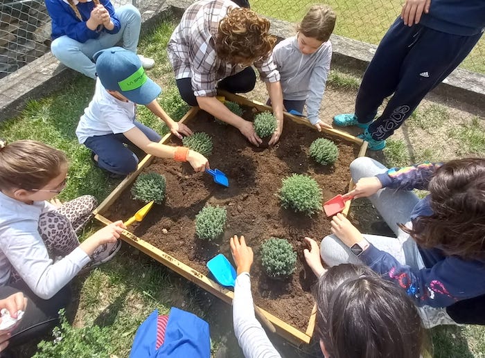 Alla scuola di Calice, dove i bambini imparano col metodo finlandese (Mof) 
