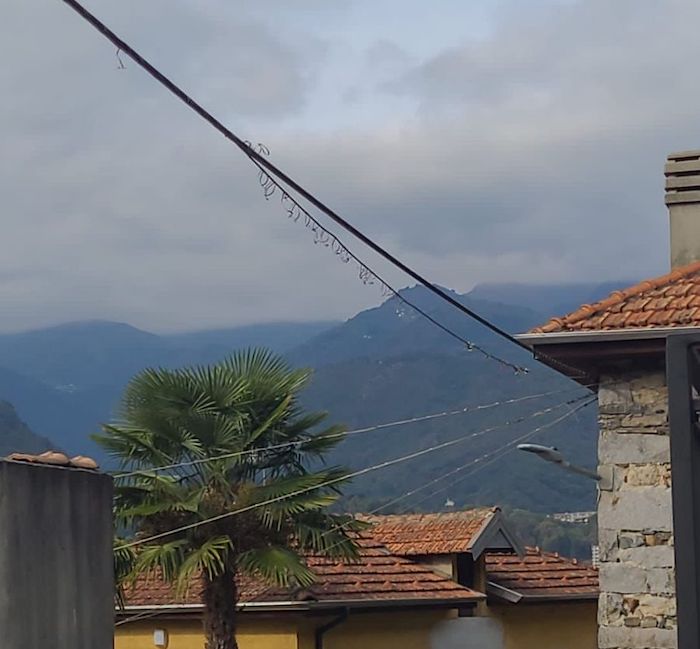 Borca: continui problemi alla linea elettrica, l'amministrazione protesta con Enel 